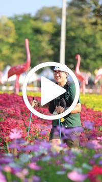 BIB:  <button type="button" onclick="openModal(27583558)" class="btn btn-primary btn-sm float-right" data-toggle="modal" data-target=".modal-high-quality">
                <i class="fa fa-download"></i> Download
                </button>